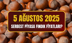 5 Ağustos 2025 Serbest Piyasa Fındık Fiyatları?