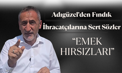 Adıgüzel’den Fındık İhracatçılarına Sert Sözler: “Emek Hırsızları”
