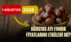 Ağustos Ayı Fındık Fiyatlarını Etkiledi Mi? (1 Ağustos 2025)