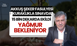 Akkuş Şeker Fasulyesi Kuraklıkla Sınavda