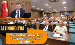 Altınordu’da Sokak Hayvanları İçin Doğal Yaşam Alanı Kuruluyor