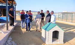 Bayburt’ta Hayvan Bakım Evi ve Doğal Yaşam Alanı ile hayvan barınağında incelemeler yapıldı