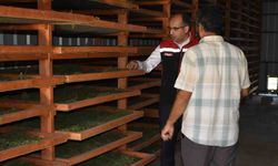 Bayburt’ta Tarhun Kurutma Tesisi ve üretim alanları incelendi