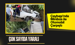 Çaybaşı’nda Minibüs ile Otomobil Çarpıştı: Çok Sayıda Yaralı