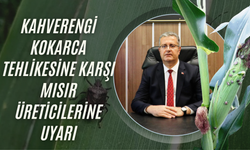 Kahverengi Kokarca Tehlikesine Karşı Mısır Üreticilerine Uyarı