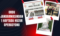 Ordu Jandarmasından 1 Haftada Huzur Operasyonu
