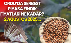 Ordu’da Serbest Piyasa Fındık Fiyatları Ne Kadar? 2 Ağustos 2025…