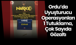Ordu’da Uyuşturucu Operasyonları: 1 Tutuklama, Çok Sayıda Gözaltı