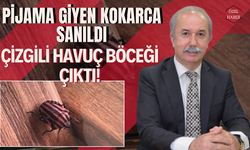 Pijama Giyen Kokarca Sanıldı, Çizgili Havuç Böceği Çıktı!