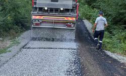 Sinop’ta 115 kilometrelik köy yolu asfaltlandı
