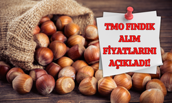 TMO Fındık Alım Fiyatlarını Açıkladı!