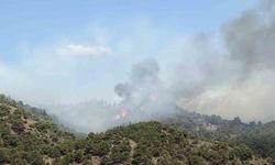 Tokat’ın Erbaa ilçesinde çıkan orman yangınına müdahale ediliyor