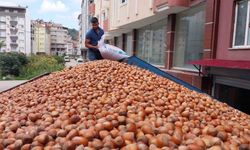 Fındık ihracatında çıta yükseliyor