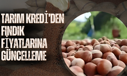 Tarım Kredi’den Fındık Fiyatlarına Güncelleme