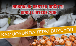 Ordu İlk Etap Ödemelerinden Yararlanamayacak