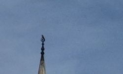 Bartın’da gökdoğan heyecanı