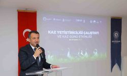 Başkan Doğan: "Samsun, canlı kaz sayısı bakımından Türkiye’de 7’nci sırada"