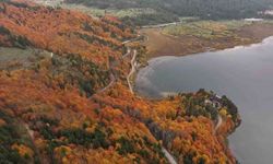 Bolu’nun doğa harikası Abant’ta ziyaretçiler akın etti