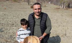 Denemek için ekti, 250 metrekarelik tarlasında dünyanın en pahalı baharatını yetiştirdi