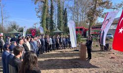 Devrek’te fidan dikim programı