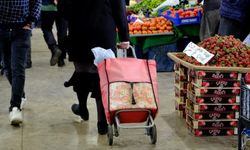 Ekonomiye güven kasımda artış gösterdi