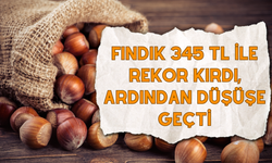 Fındık 345 TL ile Rekor Kırdı, Ardından Düşüşe Geçti