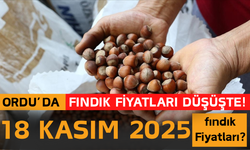 Ordu’da Fındık Fiyatları Düşüşte! 18 Kasım 2025 fındık Fiyatları?