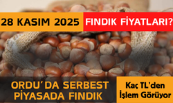 Ordu’da Serbest Piyasada Fındık Kaç TL’den İşlem Görüyor