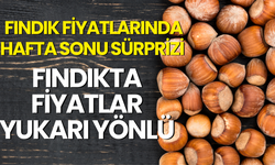 Fındık Fiyatlarında Hafta Sonu Sürprizi