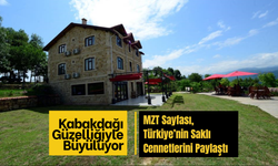 Türkiye’nin En Güzel Köylerinden Biri Ordu’da: Kabakdağı Güzelliğiyle Büyülüyor