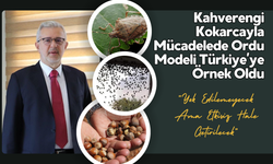 Kahverengi Kokarcayla Mücadelede Ordu Modeli Türkiye’ye Örnek Oldu: “Yok Edilemeyecek Ama Etkisiz Hale Getirilecek”