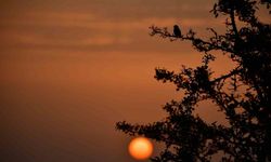 Kuş Cenneti’nde sonbahar