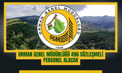 Orman Genel Müdürlüğü 496 Sözleşmeli Personel Alacak