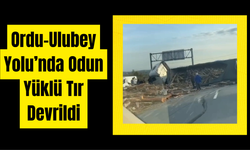 Ordu–Ulubey Yolu’nda Odun Yüklü Tır Devrildi: Trafik Tek Şeritten Sağlandı