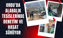 Ordu’da Alabalık Tesislerinde Denetim ve Hasat Sürüyor