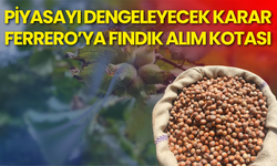 Piyasayı Dengeleyecek Karar: Ferrero’ya Fındık Alım Kotası