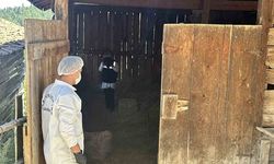 Samanlıkta işlenen cinayetle ilgili yargılama devam etti