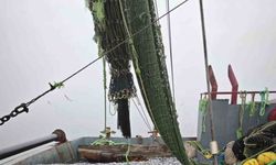 Samsun’da 1 milyon 843 bin 550 kilo hamsi denetlendi