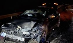 Sinop Belediye Başkanı Gürbüz’ün makam aracı domuz sürüsüne çarptı