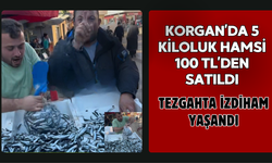 Korgan’da 5 Kiloluk Hamsi 100 TL’den Satıldı: Tezgahta İzdiham Yaşandı
