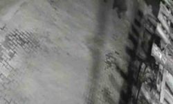 Yerleşim alanına inen ayılar köy sakininden korkup kaçtı