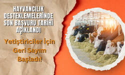Hayvancılık Desteklemelerinde Son Başvuru Tarihi Açıklandı: Yetiştiriciler İçin Geri Sayım Başladı!