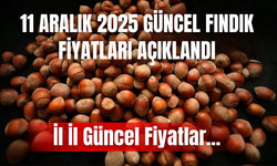 11 Aralık 2025 Güncel Fındık Fiyatları Açıklandı