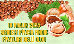 18 Aralık Perşembe Serbest Piyasa Fındık Fiyatları Belli Oldu
