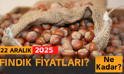 22 Aralık 2025 Fındık Fiyatları?