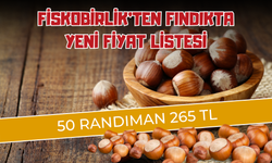 Fiskobirlik’ten Fındıkta Yeni Fiyat Listesi: 50 Randıman 265 TL