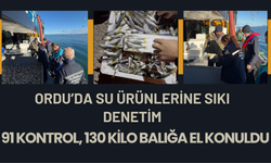 Ordu’da Su Ürünlerine Sıkı Denetim: 91 Kontrol, 130 Kilo Balığa El Konuldu