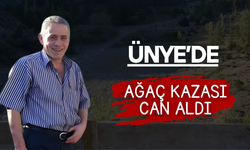 Ünye’de Ağaç Kazası Can Aldı