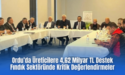 Ordu’da Üreticilere 4,62 Milyar TL Destek: Fındık Sektöründe Kritik Değerlendirmeler