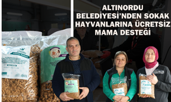 Altınordu Belediyesi’nden Sokak Hayvanlarına Ücretsiz Mama Desteği
